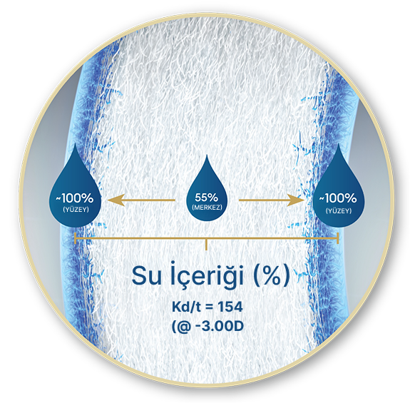 Su İçeriği